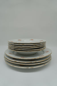 Bohemian Rose Porcelain Dinner Set – Set of 10