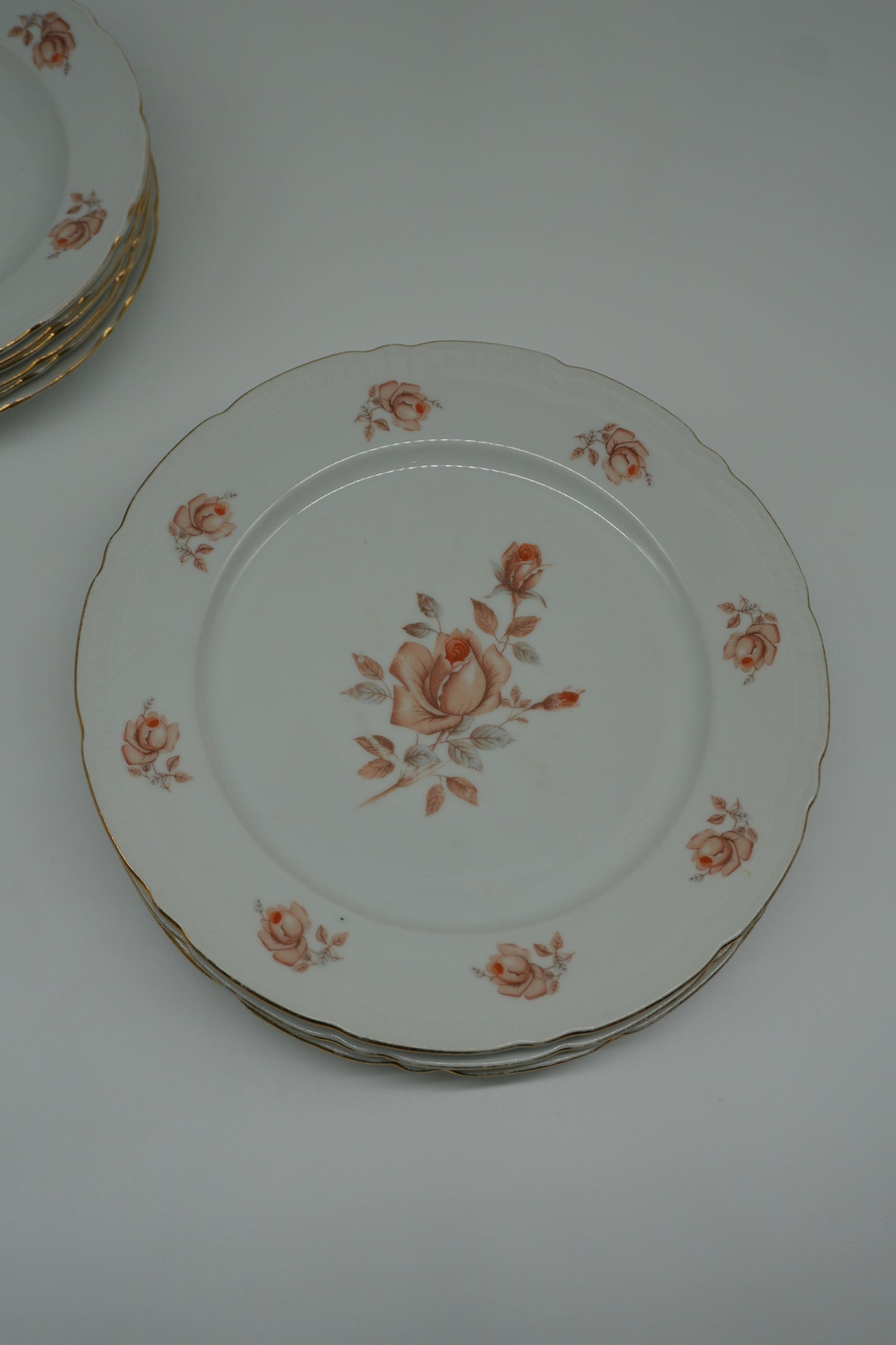 Bohemian Rose Porcelain Dinner Set – Set of 10